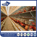 Turkey moderate Price 10000 Chickens Large Scale Automatic Chicken Broiler House Poultry Farm building design